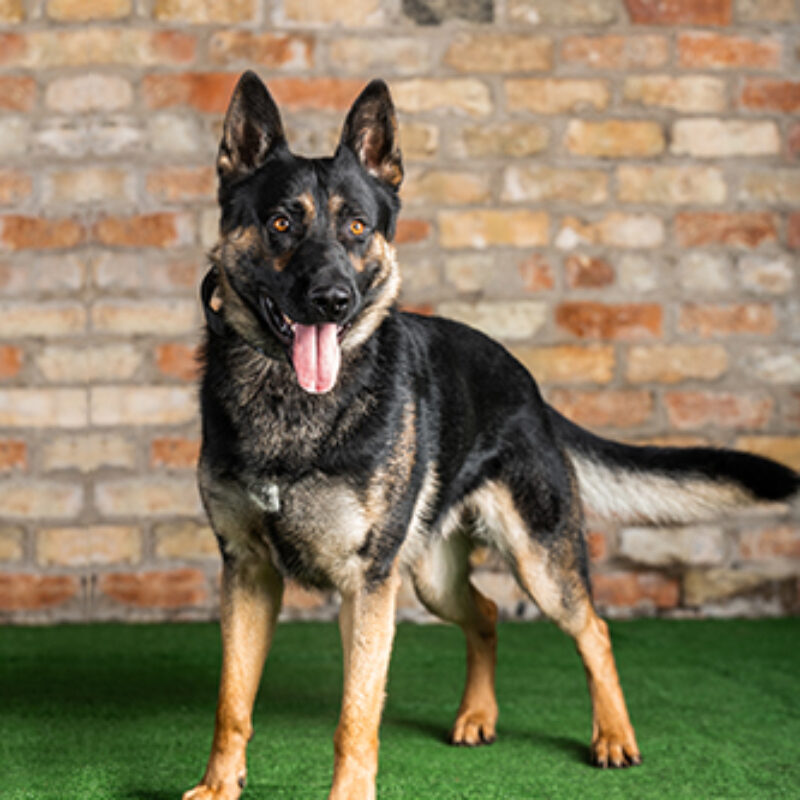 FIDO (RESERVED)