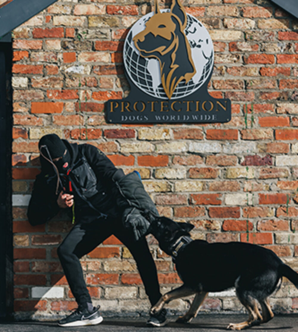 Demi Protection Dogs Worldwide