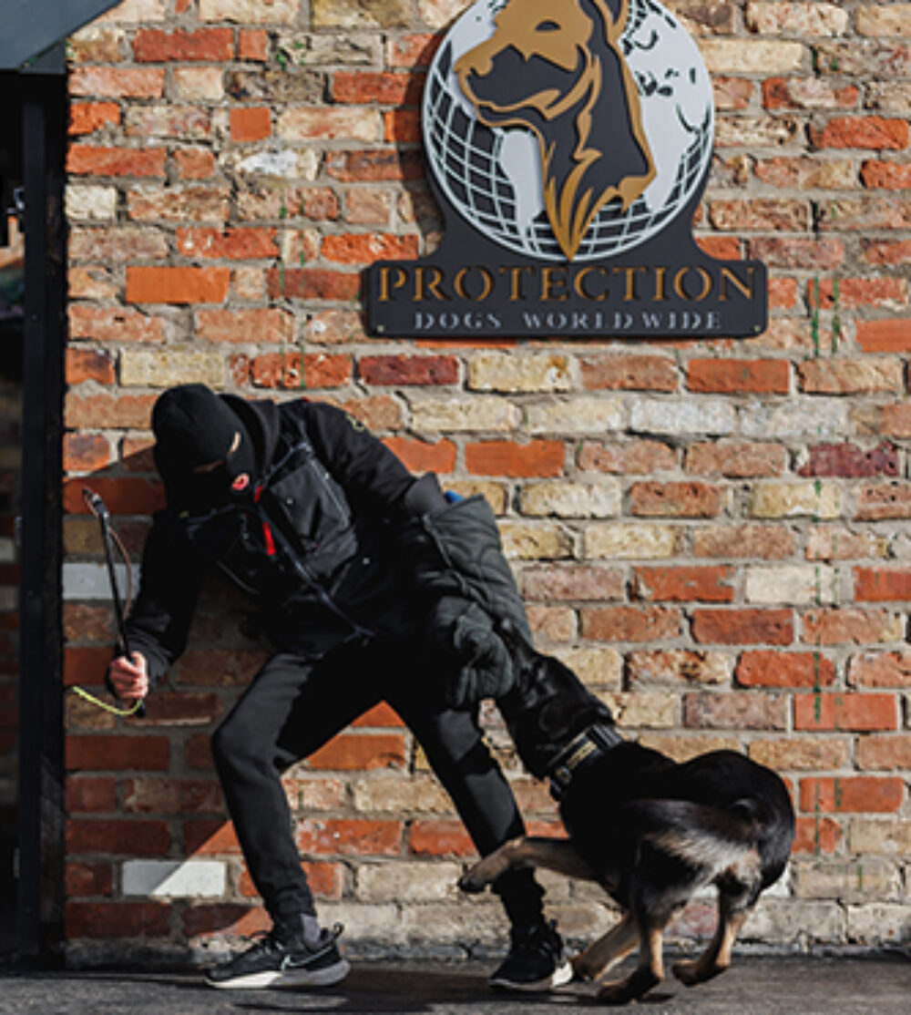 Demi Protection Dogs Worldwide