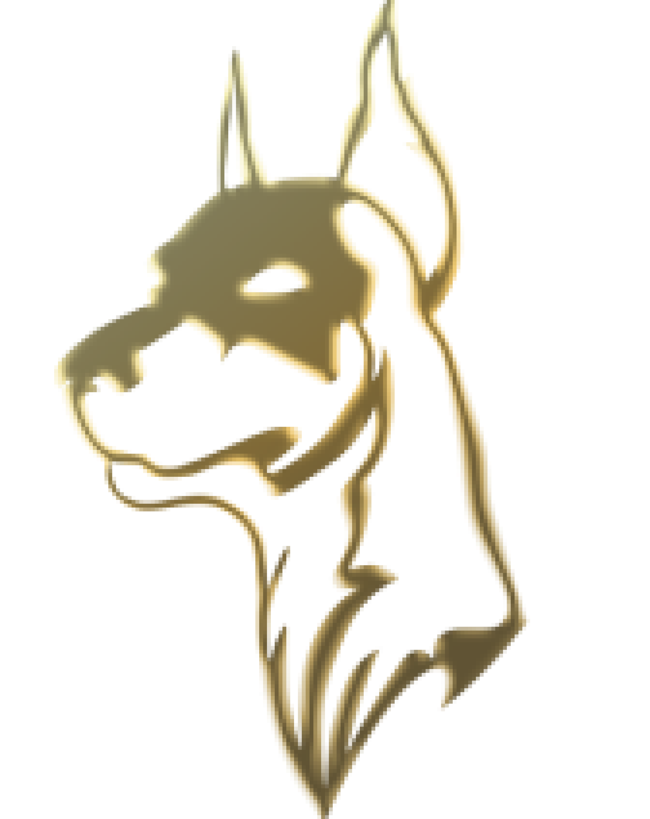 Trained Belgian Malinois Personal & Family Protection Dogs for Sale Uk