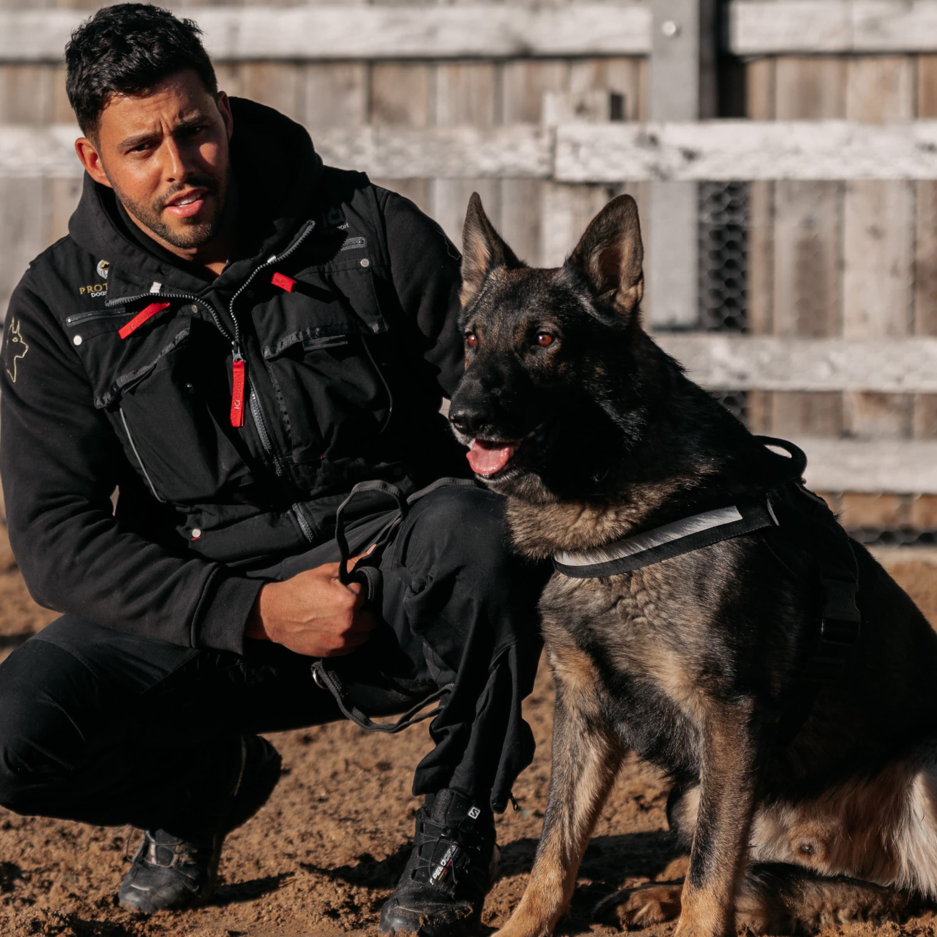 Protection Dogs Worldwide Perfect Dogs for your Family!