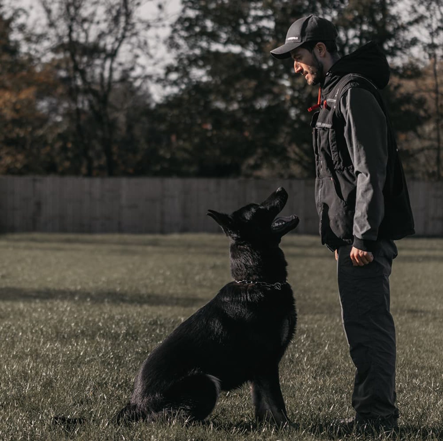 Protection Dogs Worldwide Protection, Obedience & Puppy Training