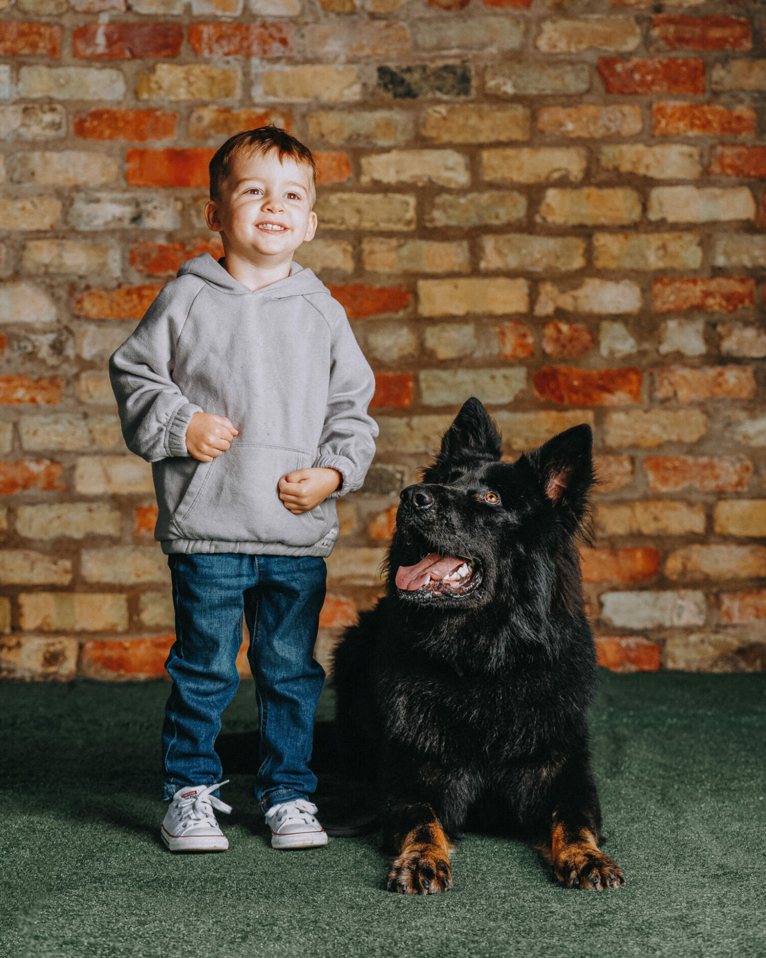 Protection Dogs Personal & Family Protection Dogs for Sale UK