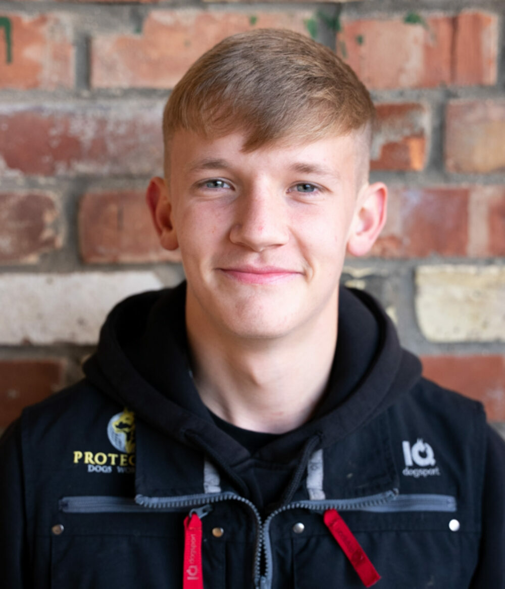 Meet Our Personal Protection Dogs Trainers Working Dog Trainers UK