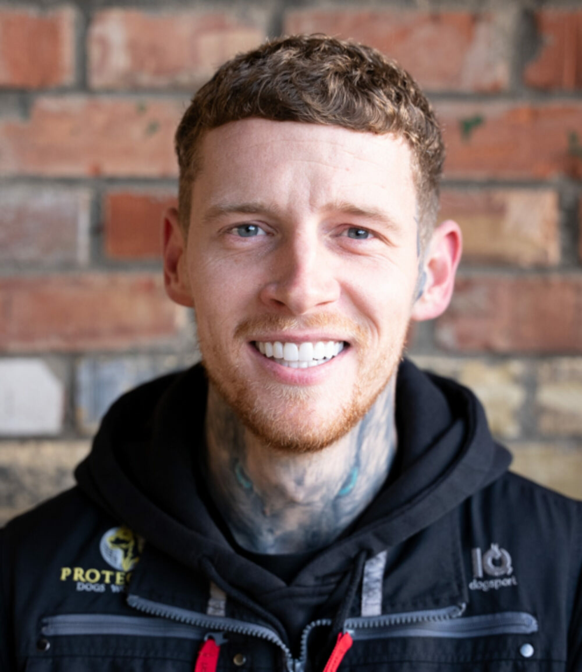 Meet Our Personal Protection Dogs Trainers Working Dog Trainers UK