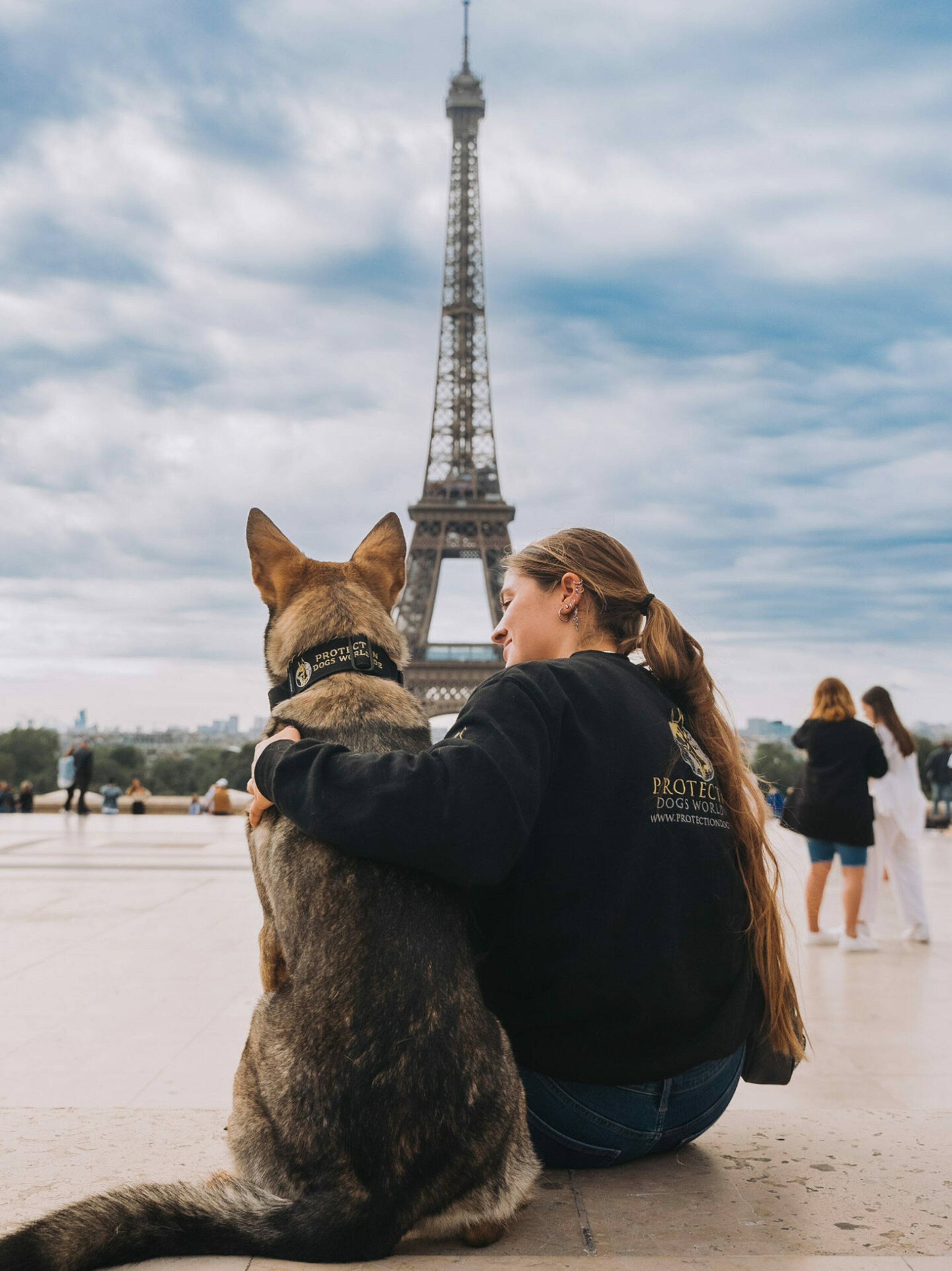 Meet Our Personal Protection Dogs Trainers Working Dog Trainers UK