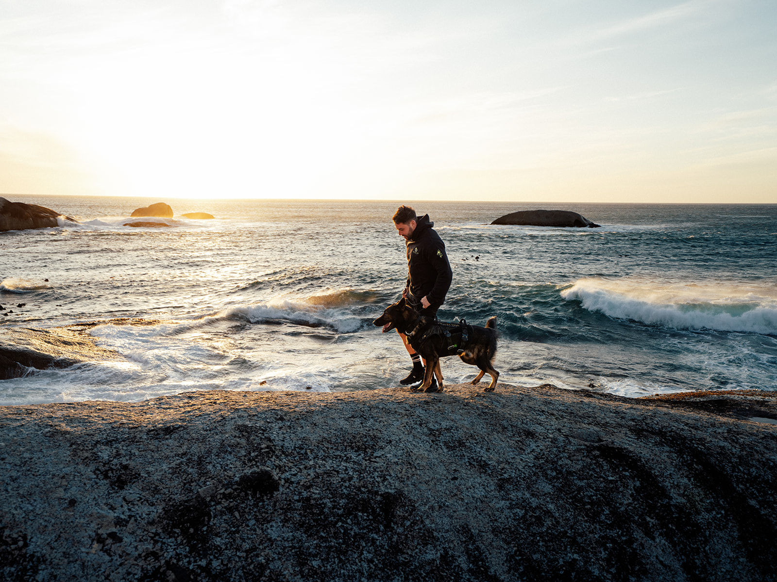 Protection Dogs for Families, Executives & High-Net-Worth Individuals