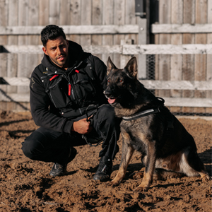 Protection Dogs Trainers